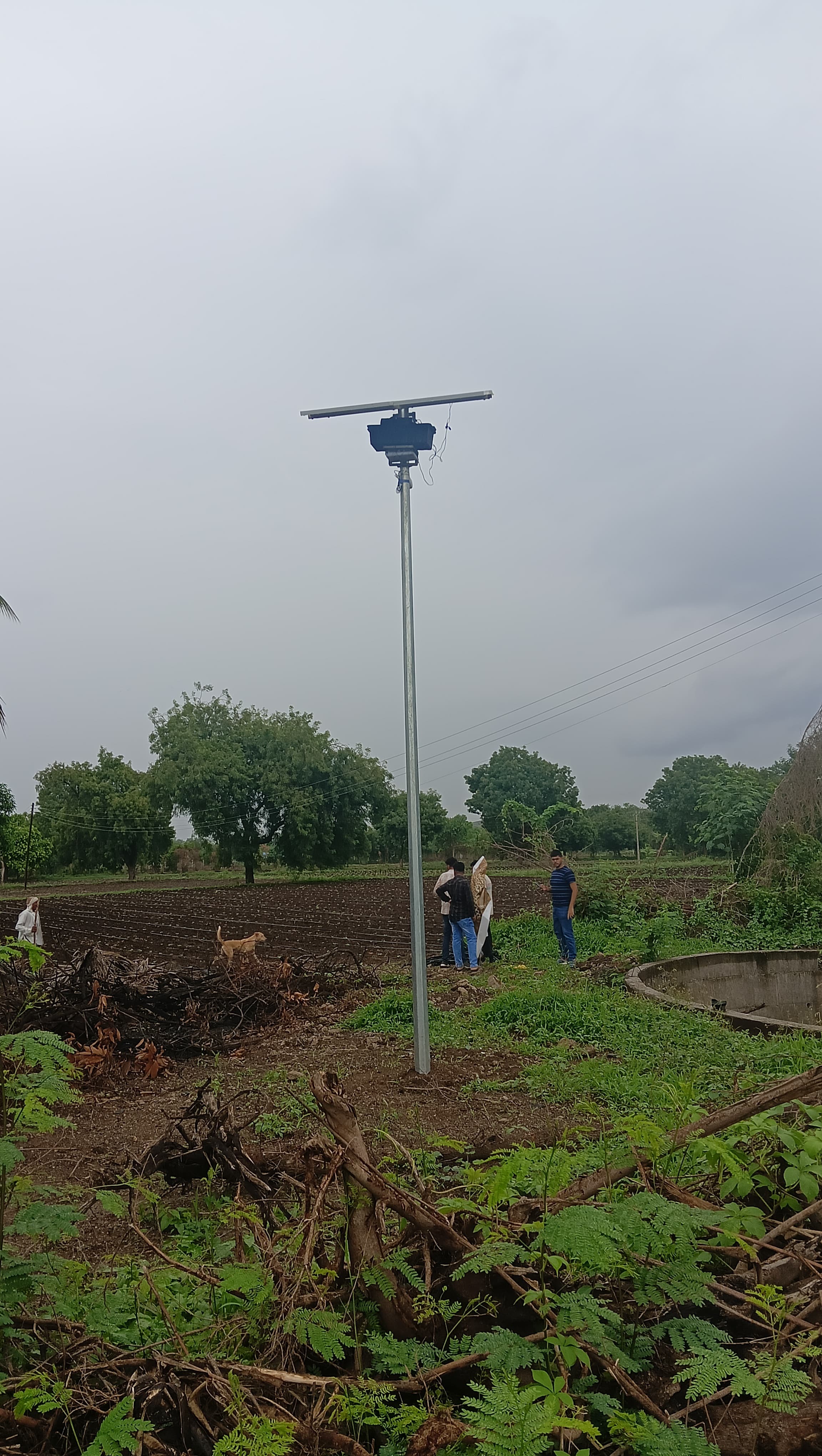Field Trial 8