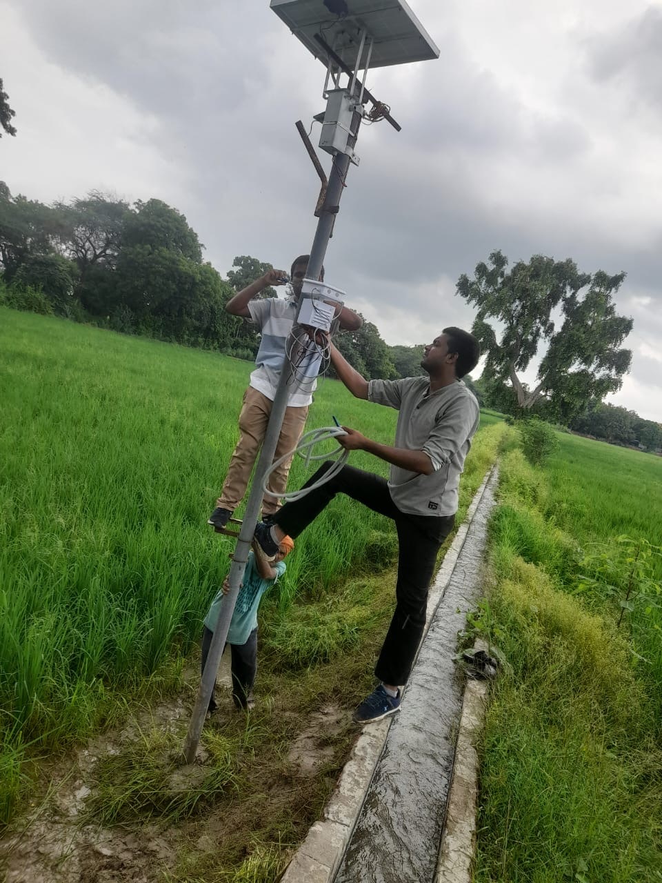 Field Trial 2