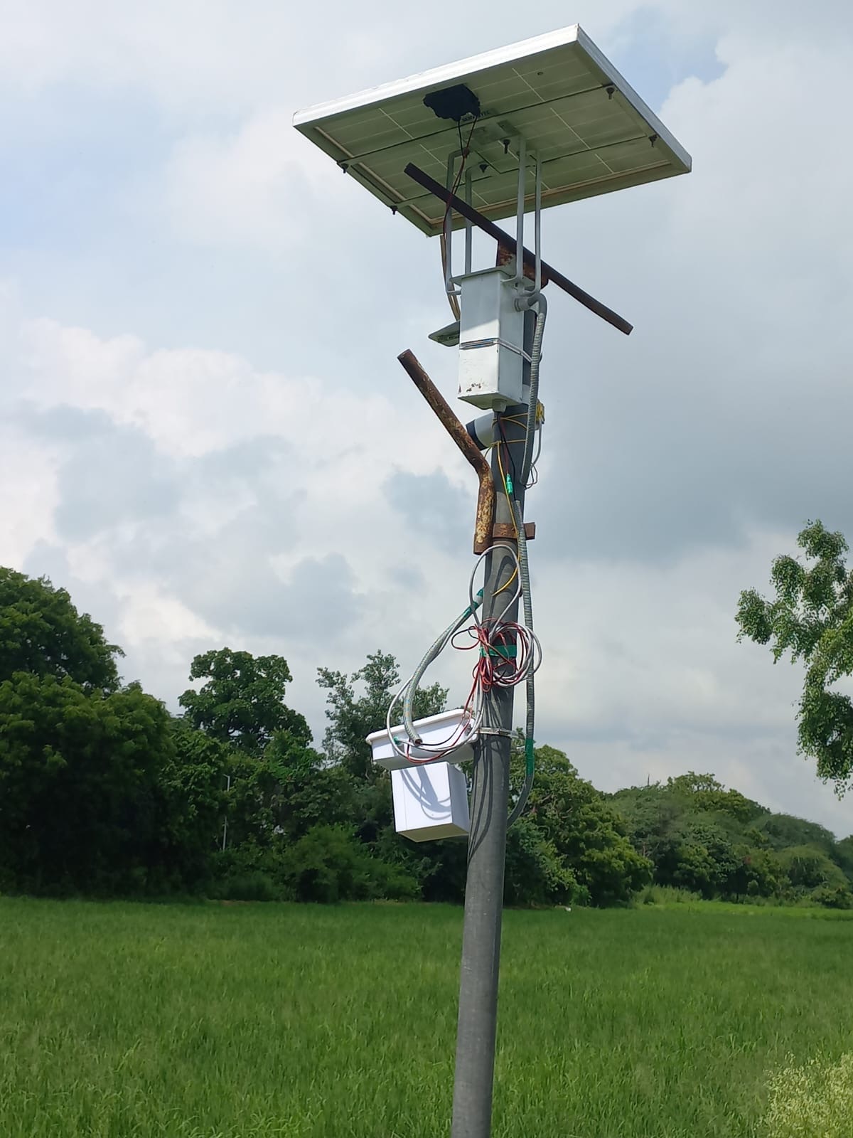 Field Trial 3