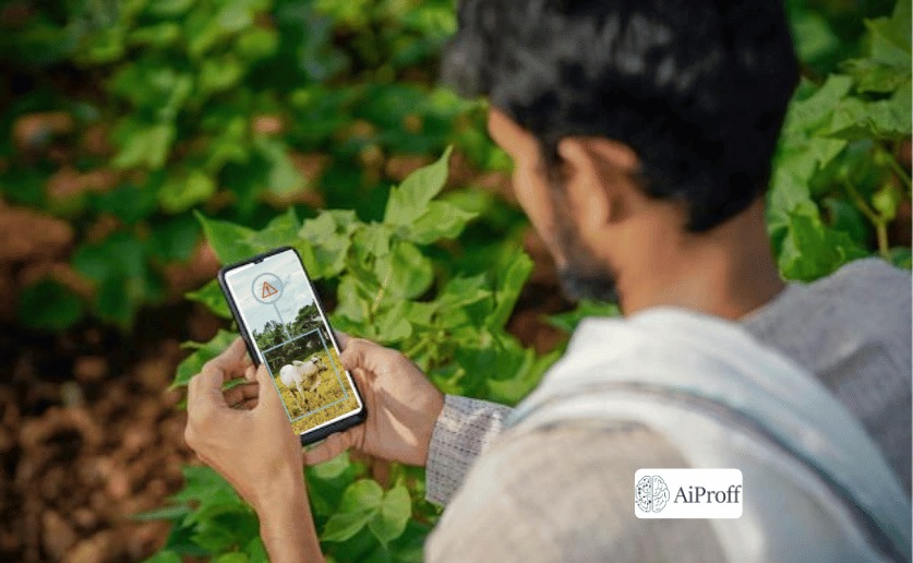 Crop Health Monitoring